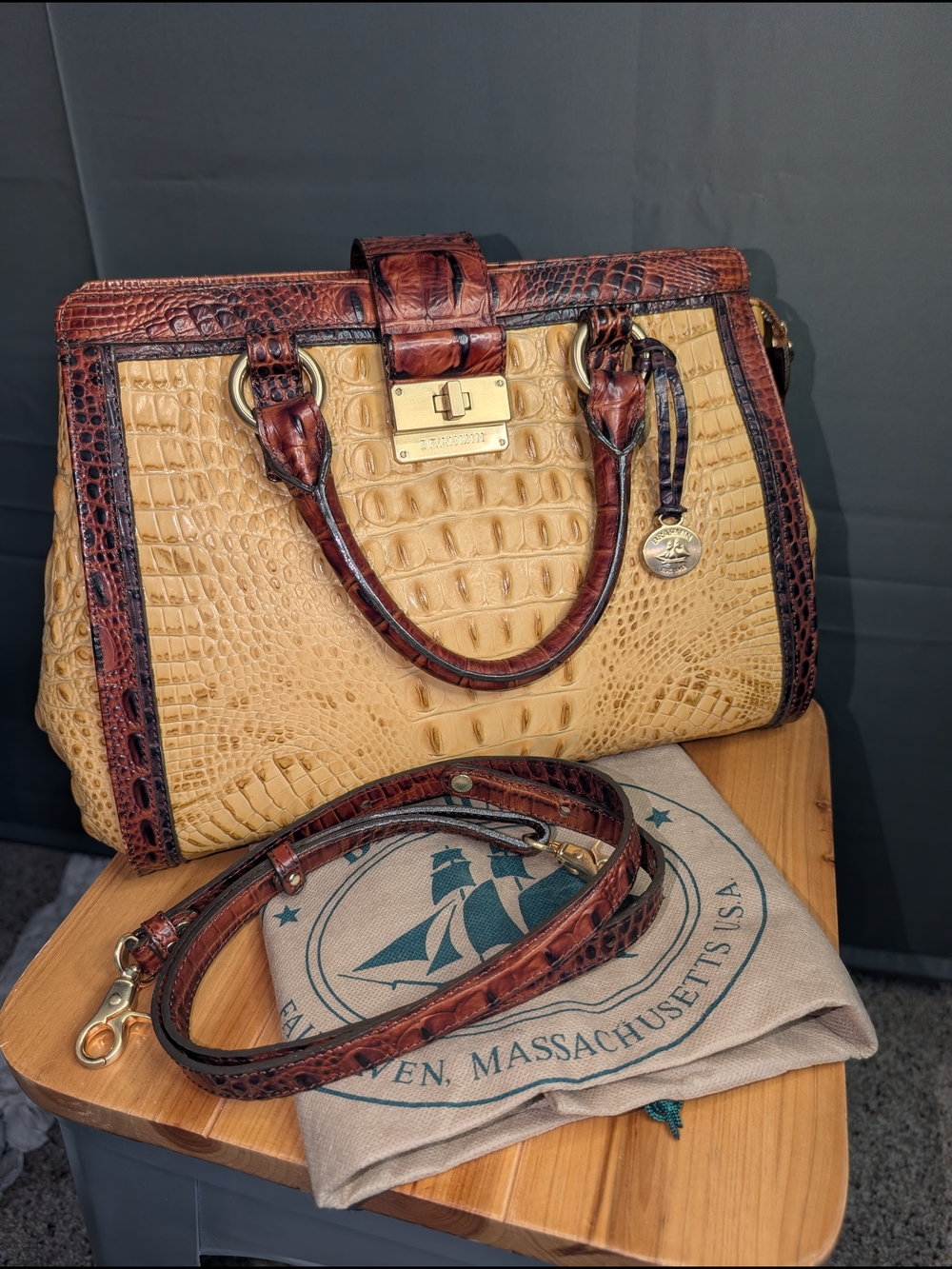 NWOT - Brahmin Tricolor Annabelle Croc-Embossed Satchel